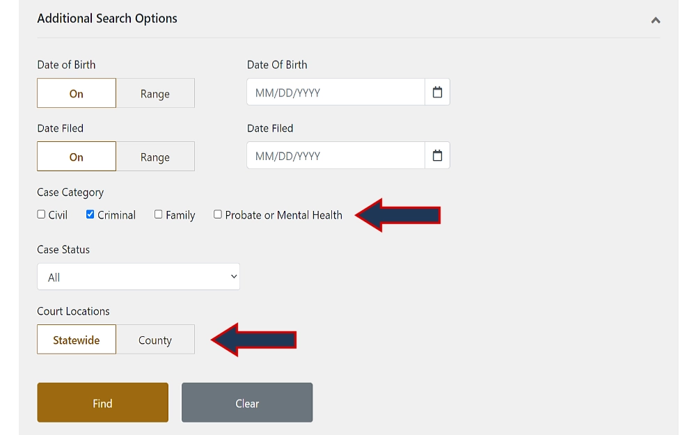 This is a screenshot showing the Minnesota Judicial Branch search tool with its additional search filter options, such as date of birth, date filed, case category as a checkbox selection, case status as a drop-down box, and court location as two options between statewide and county.